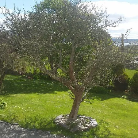 Bridge View House B&b&restaurant Kilcrohane