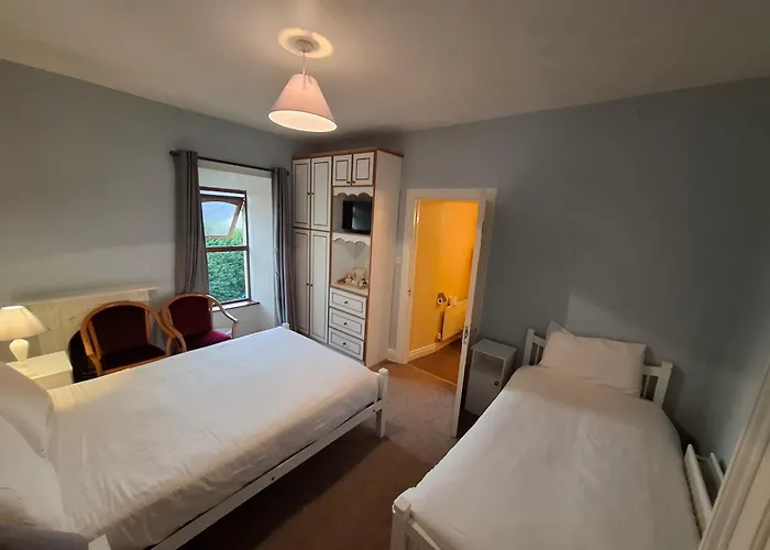 Bridge View House And Restaurant 3* Kilcrohane